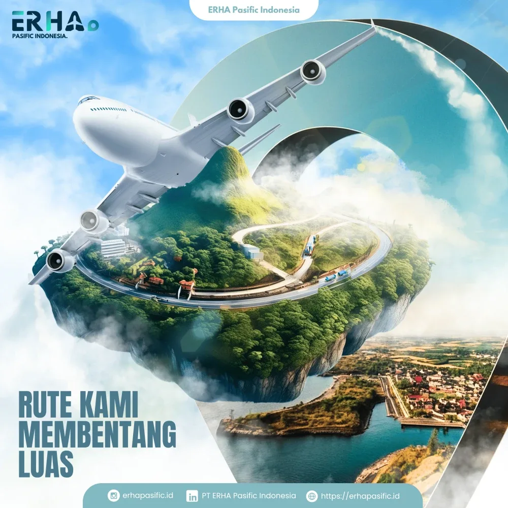 Visual 12 — Social Media Design ERHA