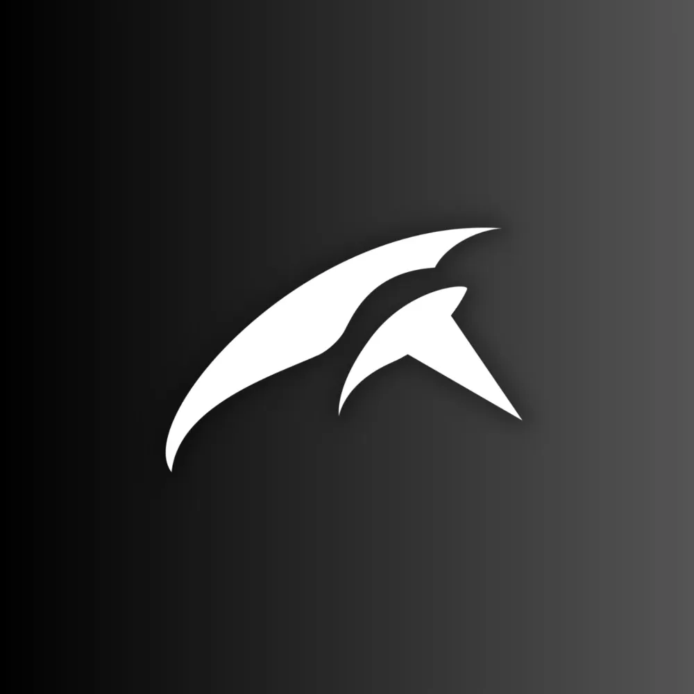 Visual 3 — Brand Logo Axflor