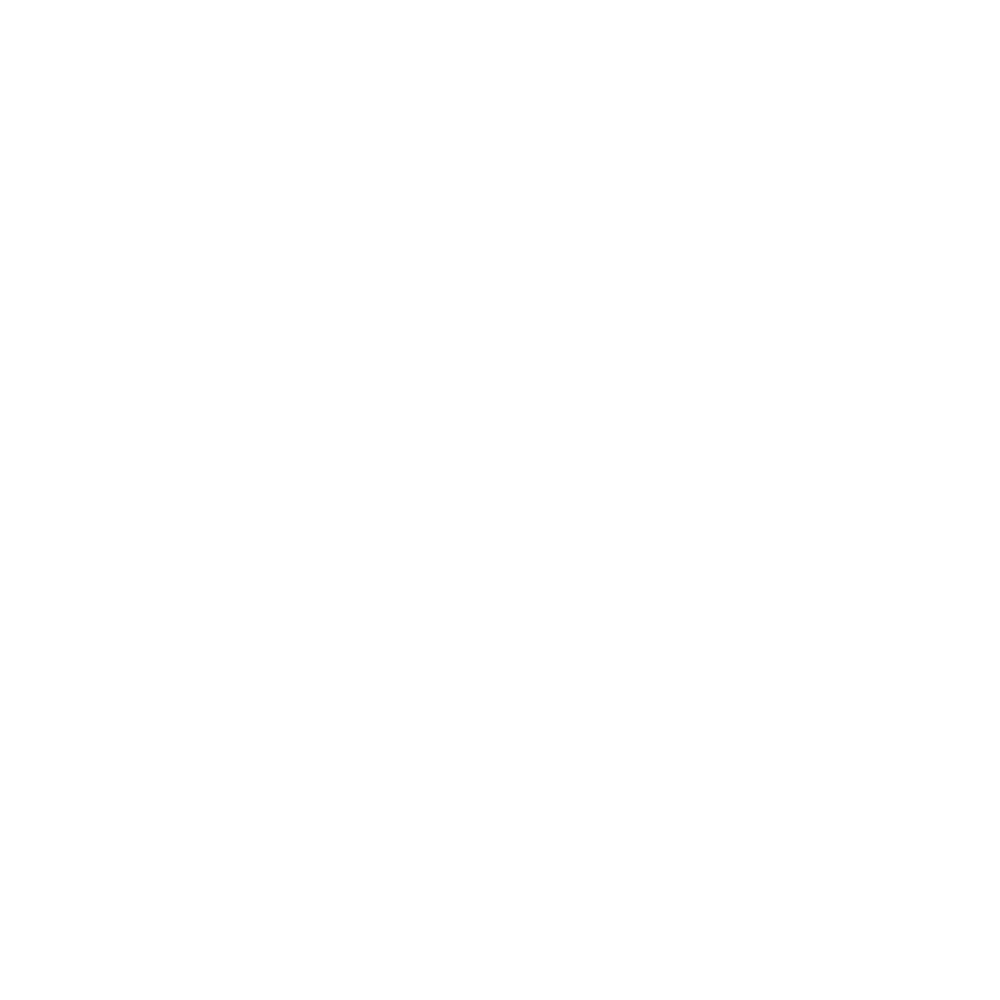 Visual 1 — Brand Logo Axflor