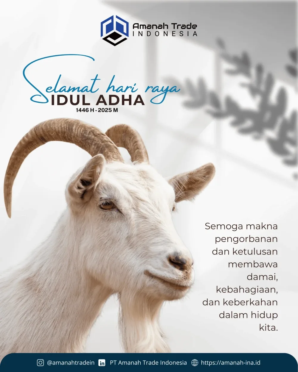 Visual 2 — Social Media Design AMANAH TRADE
